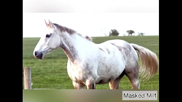 أفضل مقاطع الطاقة Horny Milf takes giant horse cock dildo compilation | Masked Milf