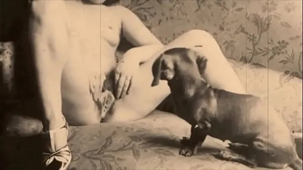 Best Vintage Taboo, Pussy & Pooch power Clips